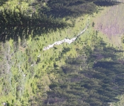 Montana 09 237